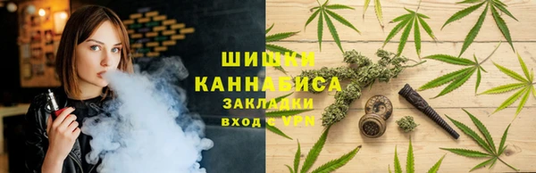 шишки Балахна